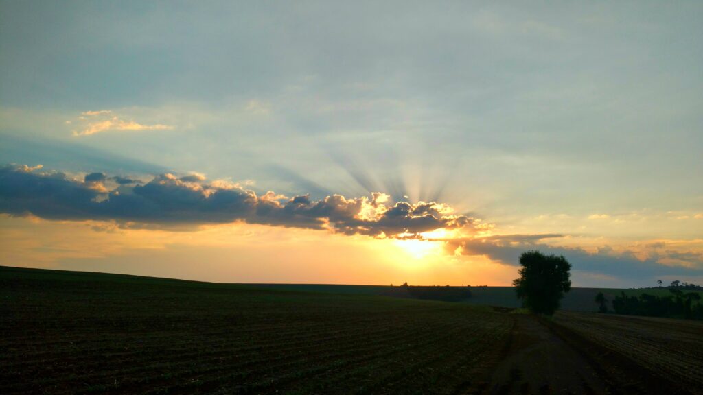 Agronegócio no Paraná. Paisagem rural ao entardecer, com lavoura, estrada de terra, árvore isolada e raios de sol atravessando nuvens no horizonte. Foto Gislene Bastos/H44 Horizonte
