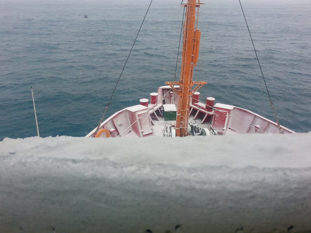 Amanhecer com neve. Amanhecer com neve. Foto Dionei Santos.