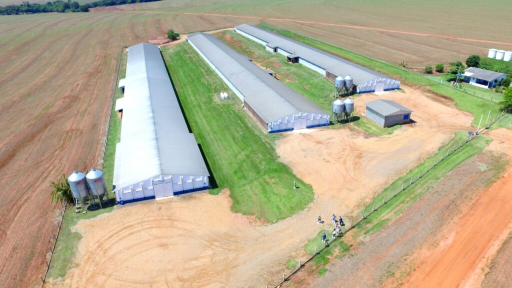 Tecnologia no agro: bem-estar animal, frigoríficos automatizados e o avanço da tilápia no Paraná. Foto Dionei Santos