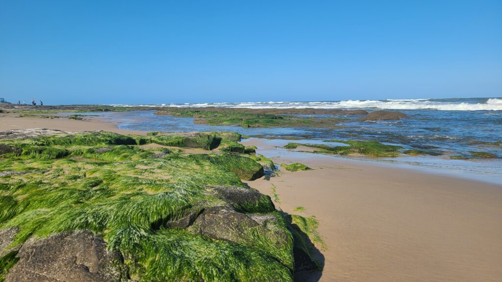 AtlantECO já revela como microbiomas, microplásticos e correntes ajudam a medir a saúde do Atlântico Sul, da costa brasileira à Antártica. Fotos Gislene Bastos/H44 Horizonte