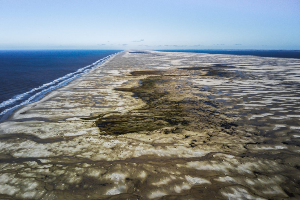 O extremo sul do Brasil acaba de ganhar o maior parque marinho do país. O Albardão protege ecossistemas raros, toninhas, aves migratórias, tartarugas e áreas costeiras estratégicas.